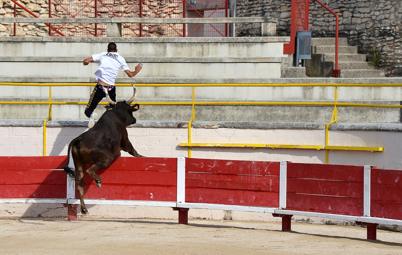 马赛成为第四家欧冠50胜法国俱乐部，前三家是巴黎、里昂、摩纳哥